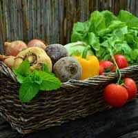 Vegetables